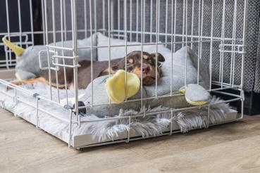 Preview: Puppy Doggy - grau